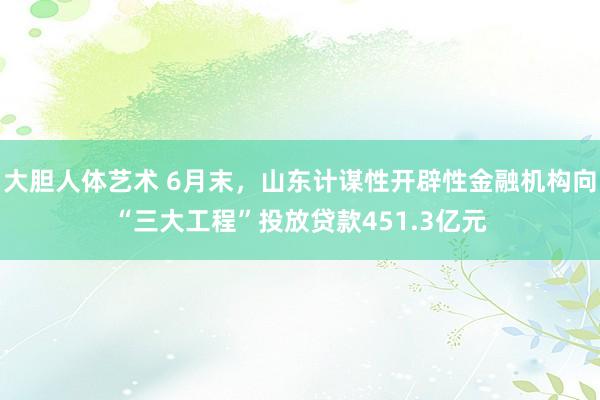 大胆人体艺术 6月末，山东计谋性开辟性金融机构向“三大工程”投放贷款451.3亿元