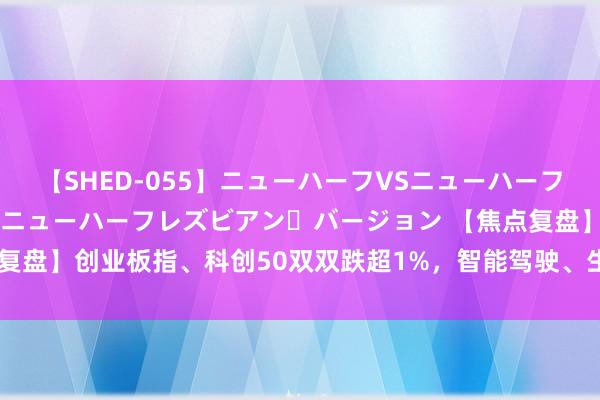 【SHED-055】ニューハーフVSニューハーフ 不純同性肛遊 2 魅惑のニューハーフレズビアン・バージョン 【焦点复盘】创业板指、科创50双双跌超1%，智能驾驶、生意航天办法捏续火爆