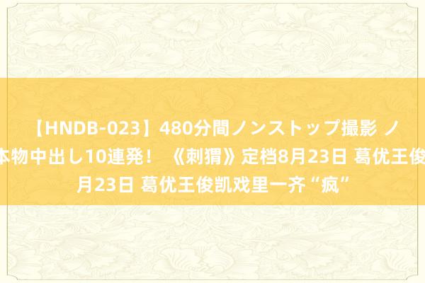 【HNDB-023】480分間ノンストップ撮影 ノーカット編集で本物中出し10連発！ 《刺猬》定档8月23日 葛优王俊凯戏里一齐“疯”