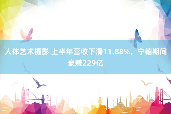 人体艺术摄影 上半年营收下滑11.88%，宁德期间豪赚229亿