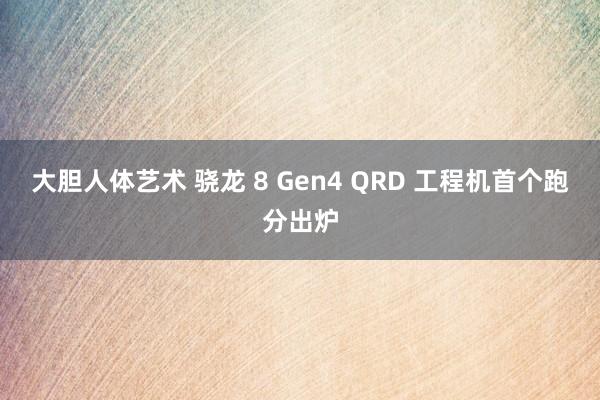 大胆人体艺术 骁龙 8 Gen4 QRD 工程机首个跑分出炉