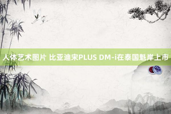 人体艺术图片 比亚迪宋PLUS DM-i在泰国魁岸上市