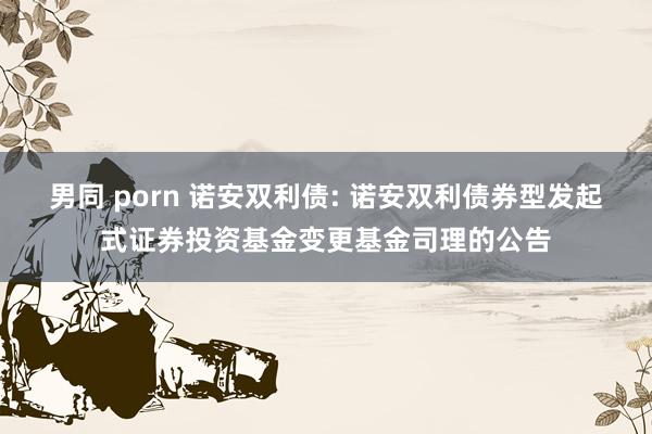 男同 porn 诺安双利债: 诺安双利债券型发起式证券投资基金变更基金司理的公告