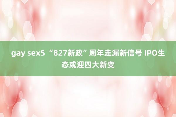 gay sex5 “827新政”周年走漏新信号 IPO生态或迎四大新变