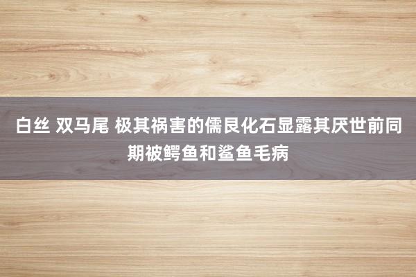 白丝 双马尾 极其祸害的儒艮化石显露其厌世前同期被鳄鱼和鲨鱼毛病