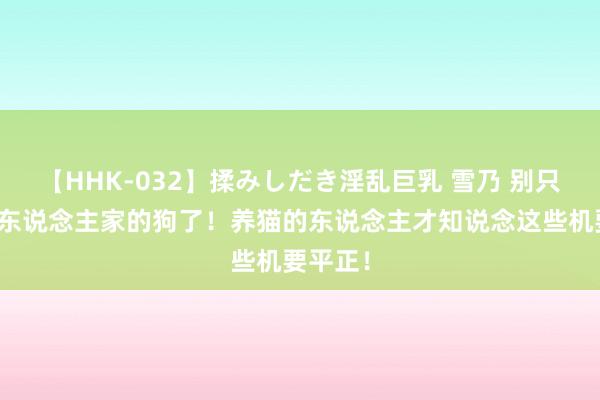 【HHK-032】揉みしだき淫乱巨乳 雪乃 别只襄助别东说念主家的狗了！养猫的东说念主才知说念这些机要平正！