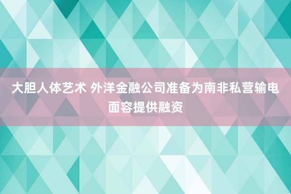 大胆人体艺术 外洋金融公司准备为南非私营输电面容提供融资