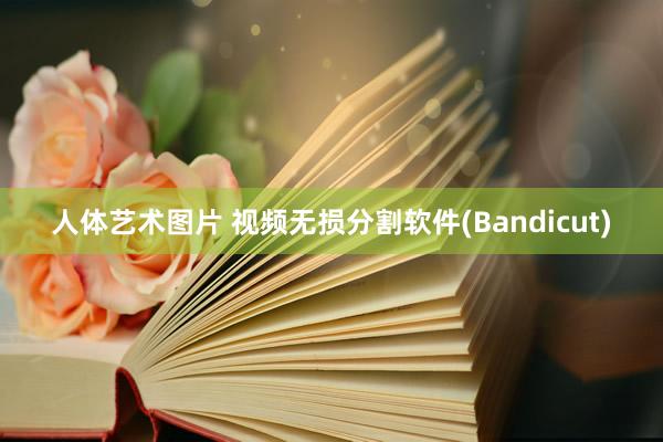 人体艺术图片 视频无损分割软件(Bandicut)