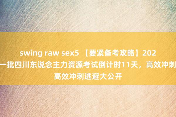 swing raw sex5 【要紧备考攻略】2024年11月第一批四川东说念主力资源考试倒计时11天，高效冲刺逃避大公开